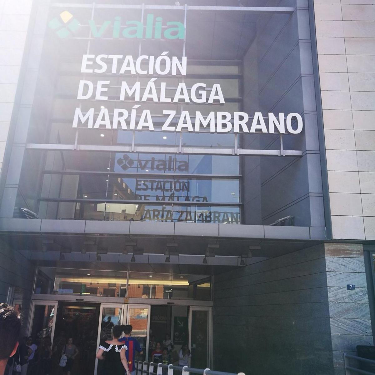 Habitacion Privada Centro Malaga Cerca Tren Maria Zambrano Y Playa Muy Buena Conexion Wifi Екстер'єр фото